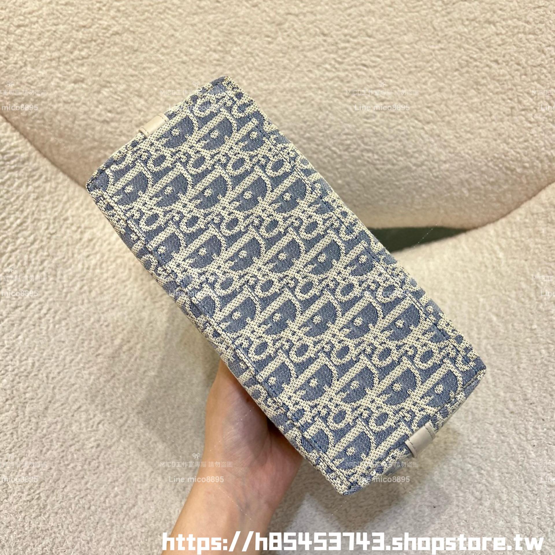 DIOR 季節限定色 酒椰草 Hobo鏈條手袋 腋下包/肩背包/飯盒包 28cm