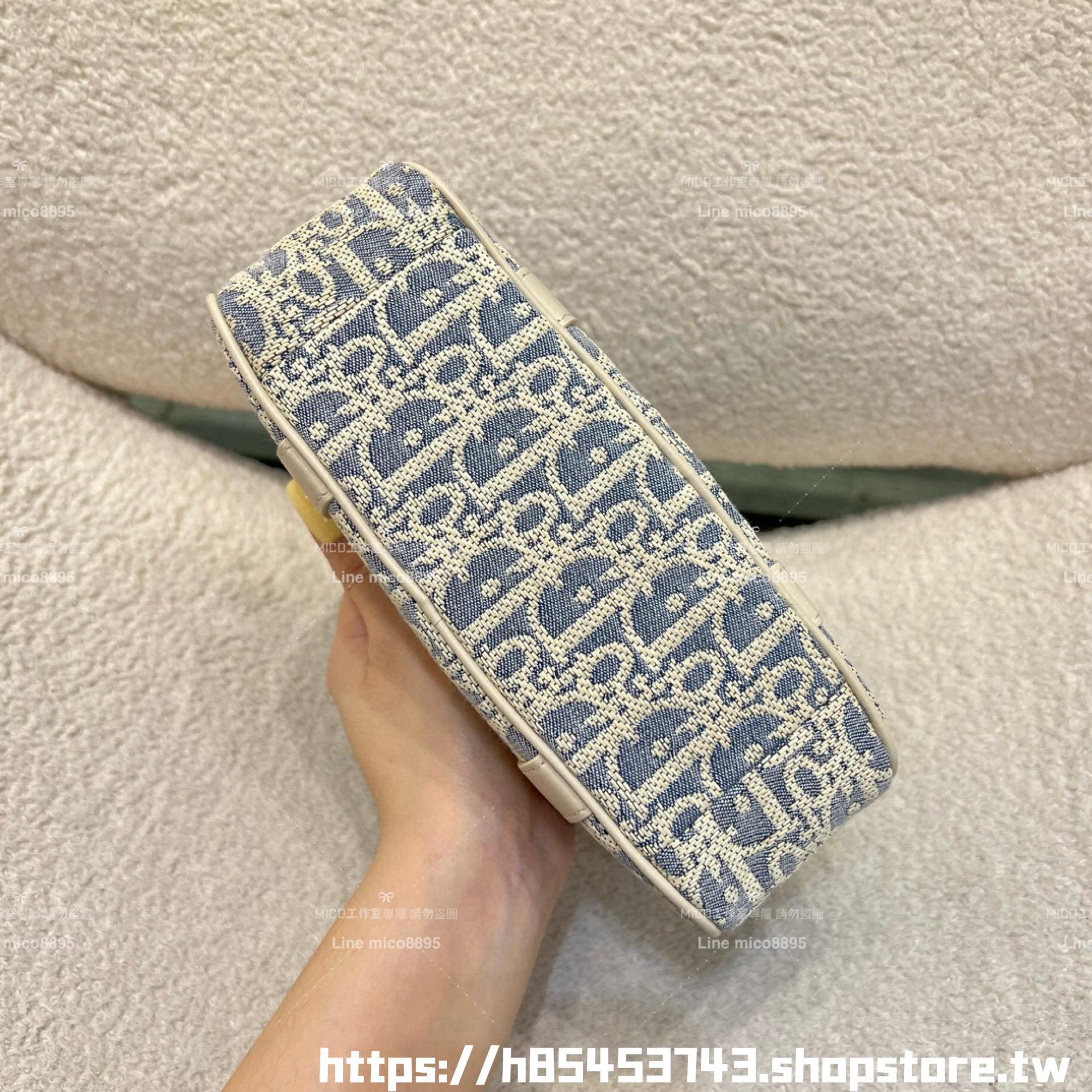 DIOR 季節限定色 酒椰草 D-Vibe East-West 微型包 保齡球包 20cm