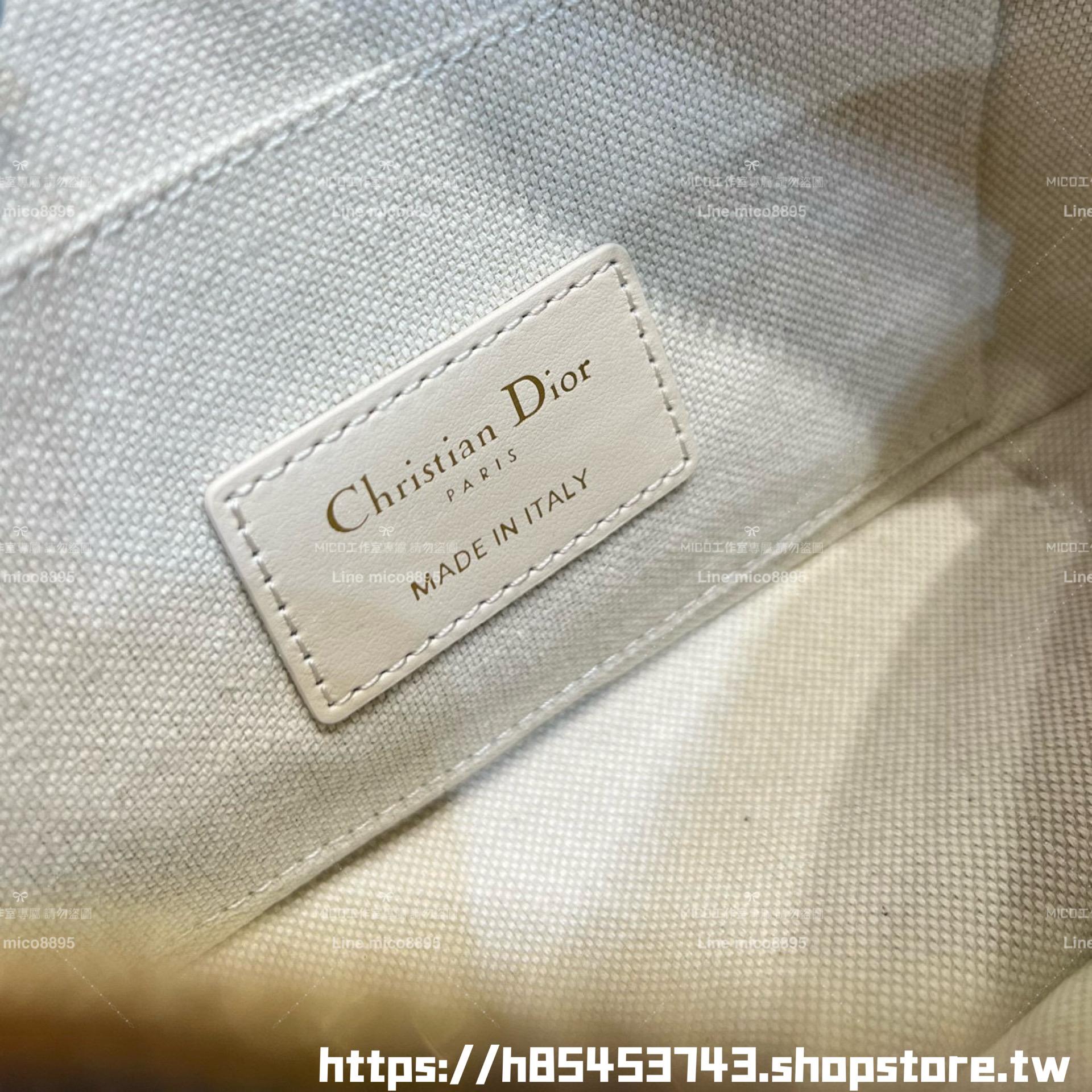 DIOR 季節限定色 酒椰草 D-Vibe East-West 微型包 保齡球包 20cm