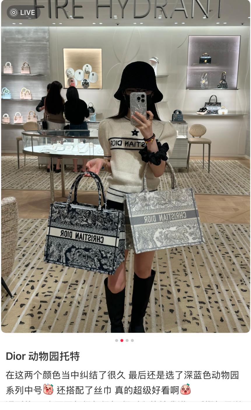 DIOR 經典 中號 動物園系列 老虎刺繡 Book Tote 手提托特包/購物袋 36cm