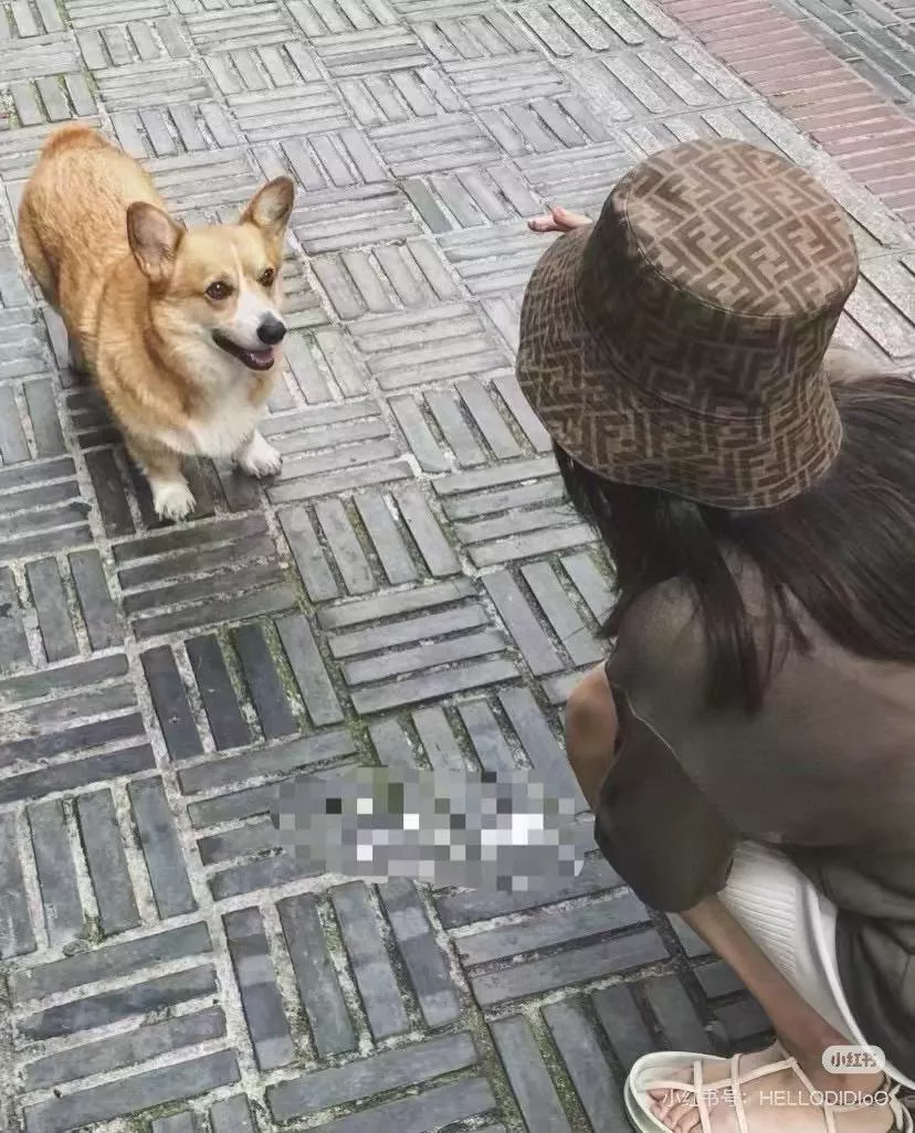 FENDI 經典雙F老花漁夫帽