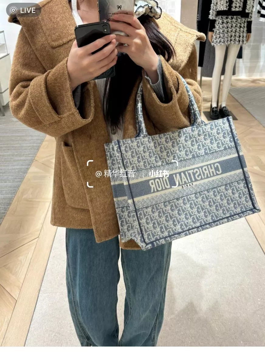 Dior Book Tote 中號托特包 購物包｜酒椰草・全刺繡布面・36cm