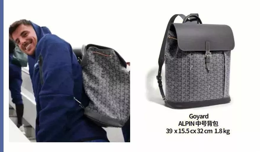 GOYARD 灰色 Alpin MM 男士翻蓋雙肩包｜經典花色配牛皮蓋設計｜39×32×15.5cm