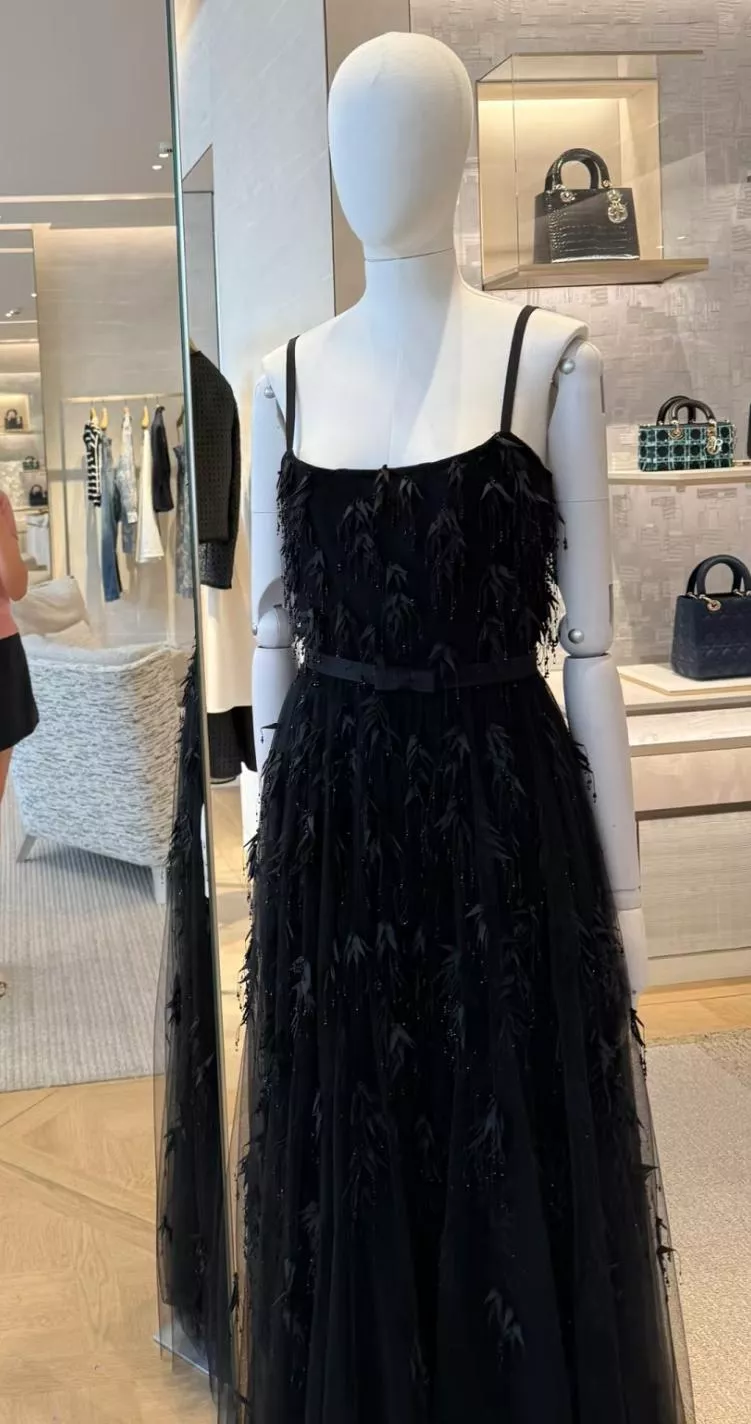 DIOR SVip款 秀款 26W 網紗羽毛釘珠禮服連衣裙 高訂禮服 36/38/40/42