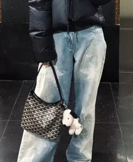 Goyard 黑色 Boheme Hobo Mini 半月包｜日常高使用率款 26cm