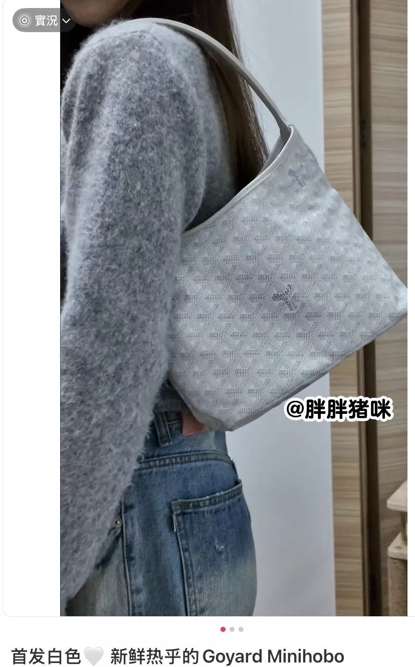 Goyard 白色 Boheme Hobo Mini 半月包｜日常高使用率款 26cm