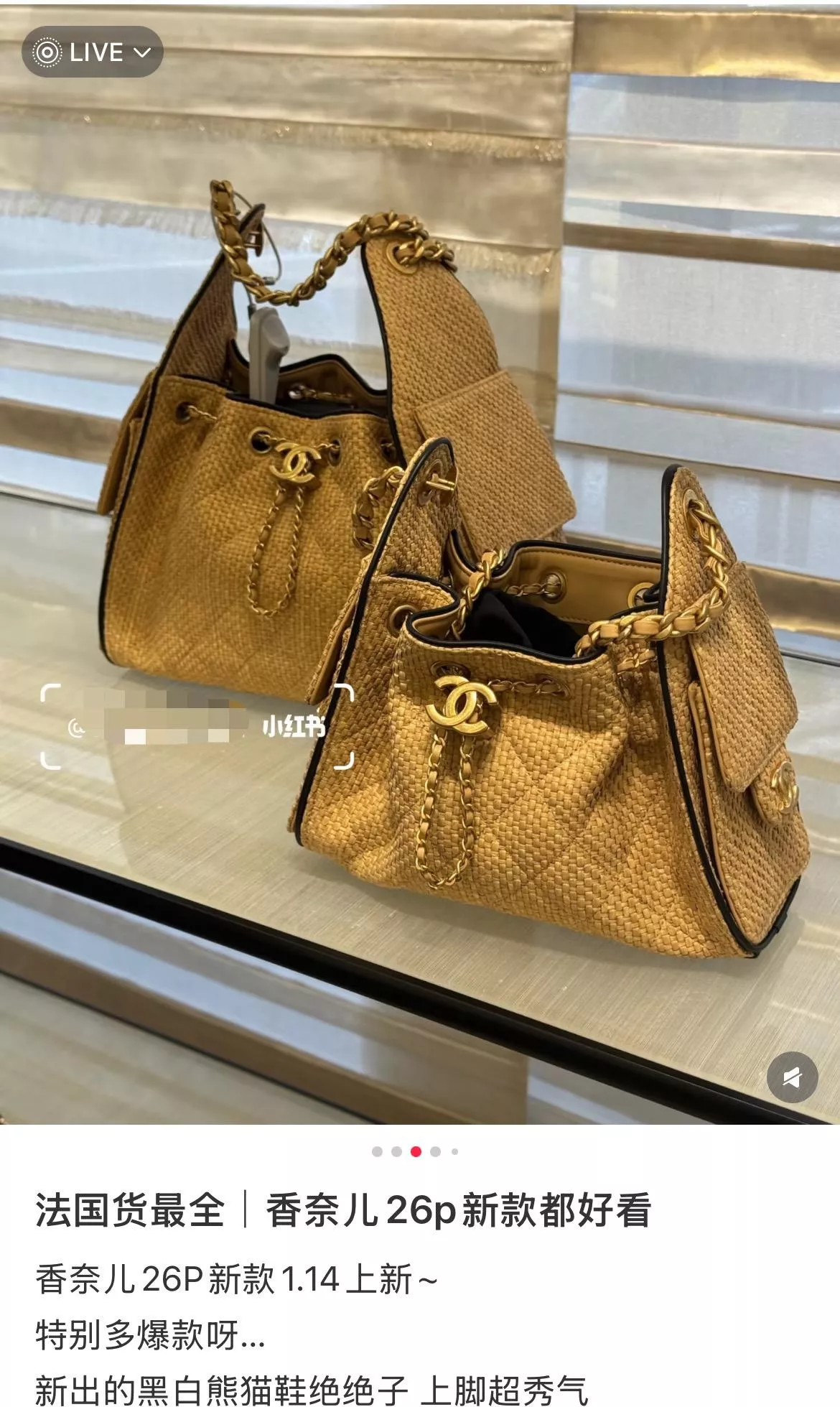 25 Bag Mini 拉菲草編｜杏色Hobo編織包 20cm