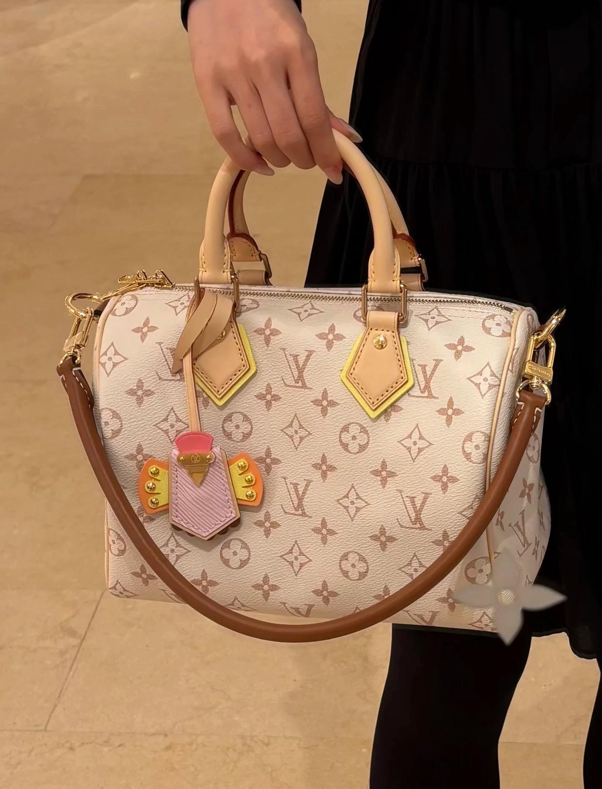 M2A038 沙丘色 Monogram Dune帆布×撞色皮革｜Speedy Bandoulière 25手袋｜26cm