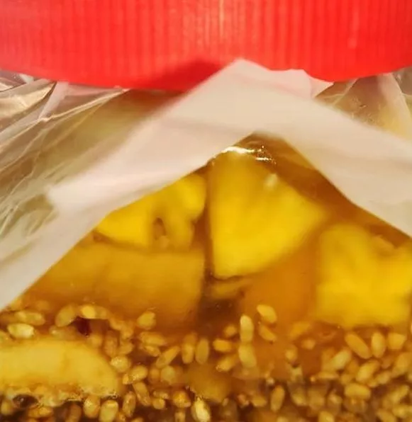 鳳梨香蕉豆腐乳