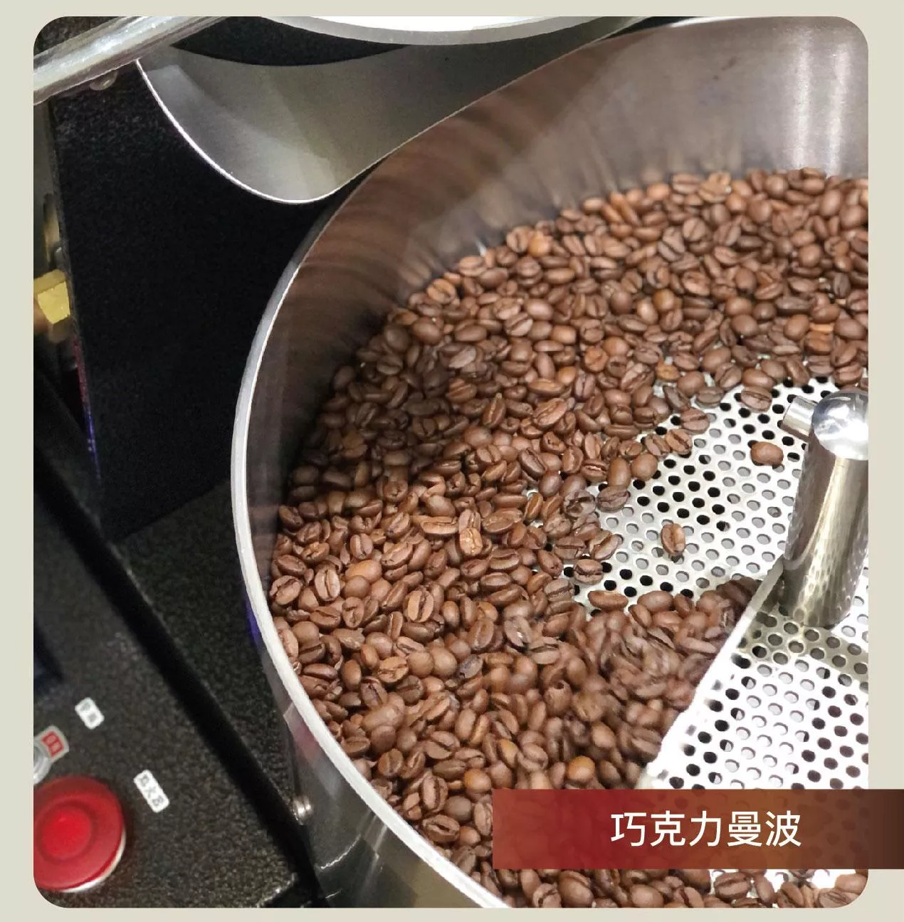 現烘咖啡豆- 巧克力曼波