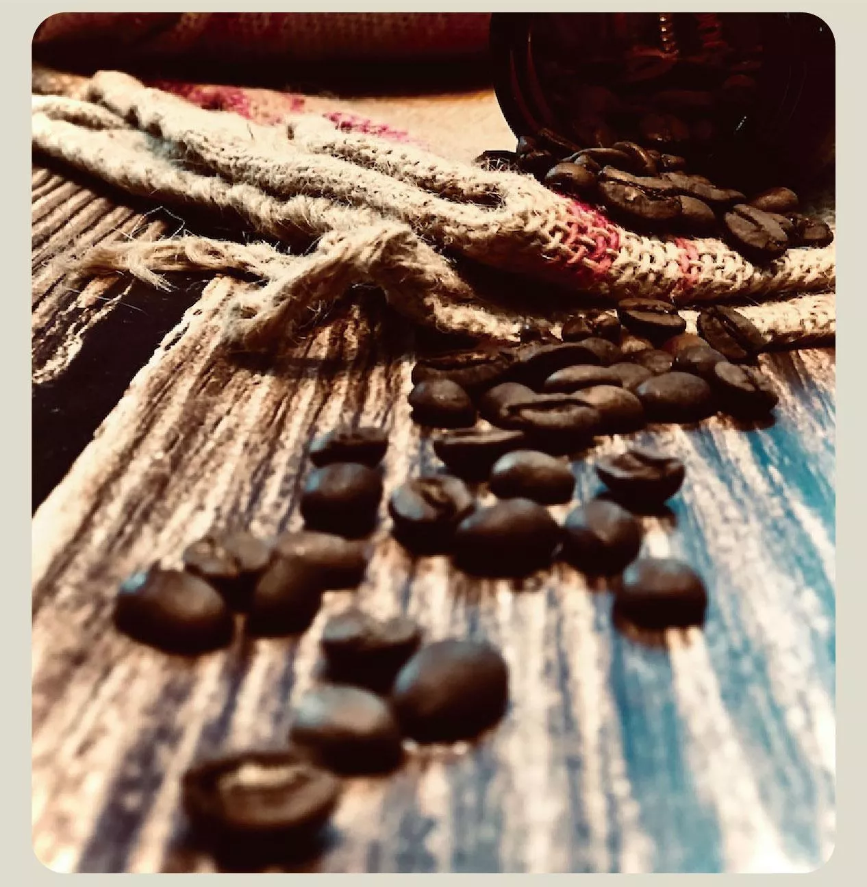 現烘咖啡豆- 南方三重奏(蘇門答臘曼特寧)