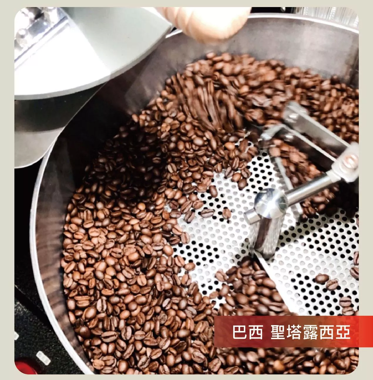 現烘咖啡豆_巴西 聖塔露西亞莊園 #堅果咖啡