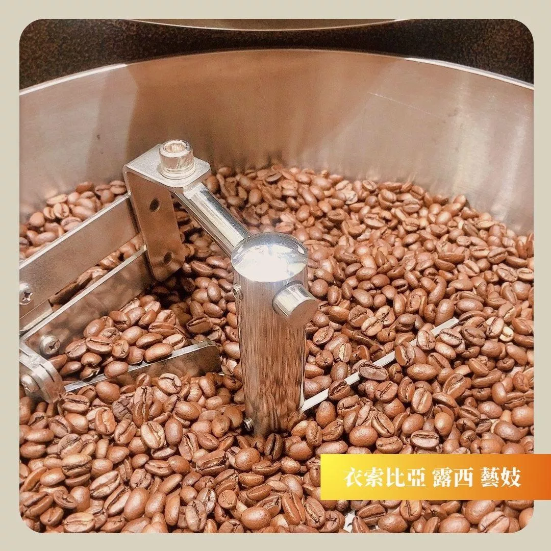 現烘咖啡豆-寶貝露西（衣索比亞班奇馬吉 寶貝露西藝妓）