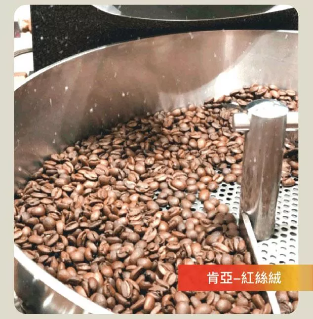 現烘咖啡豆_紅絲絨(肯亞 紅絲絨 AB TOP)