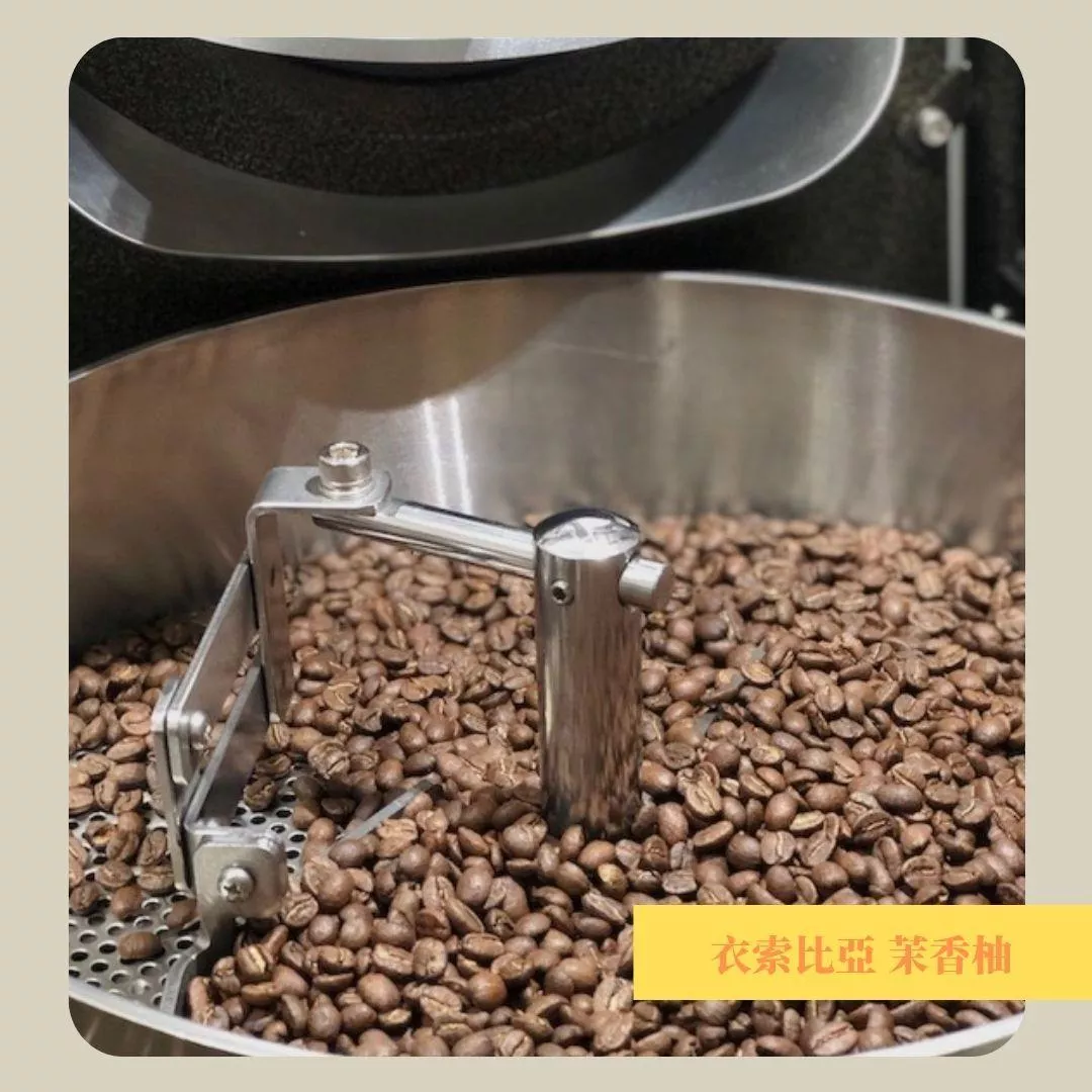 現烘咖啡豆-衣索比亞谷吉 茉香柚-厭氧日曬
