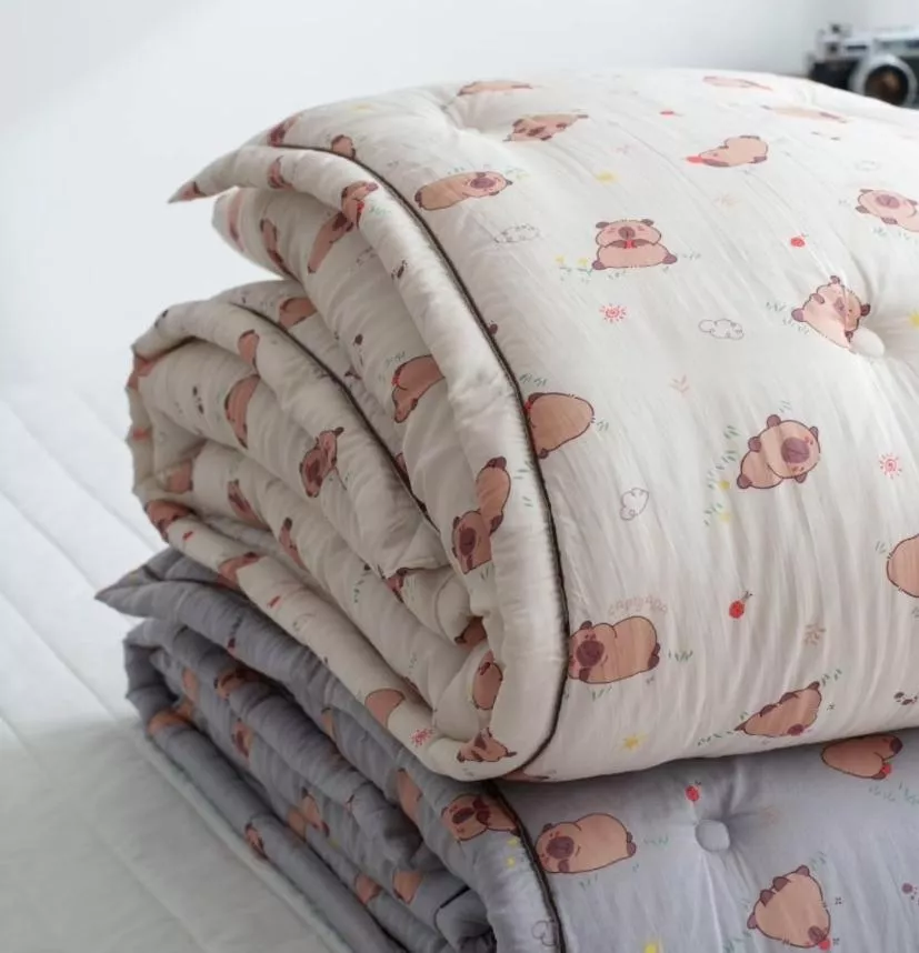 動物熊熊  동물 곰