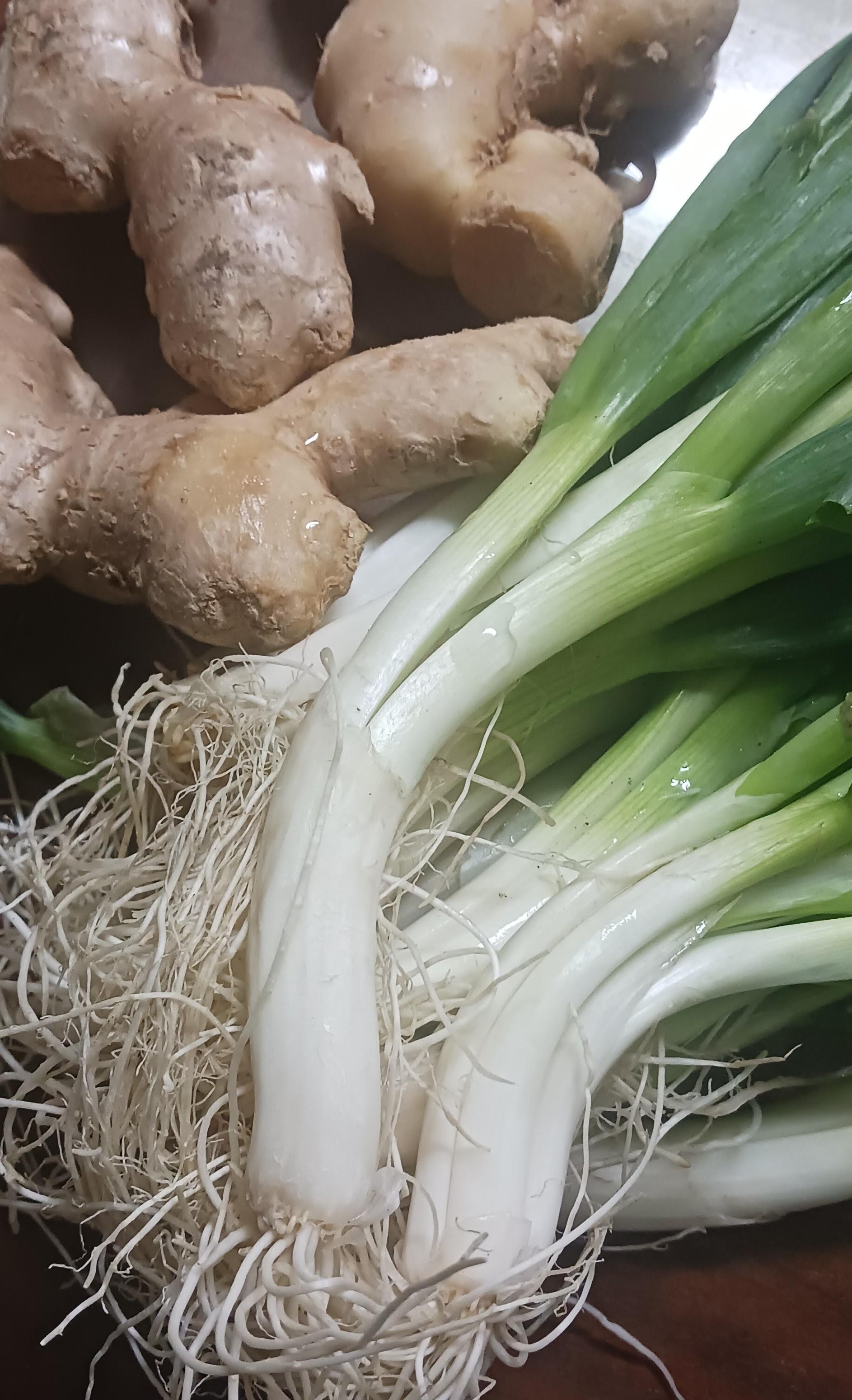 高麗菜水餃