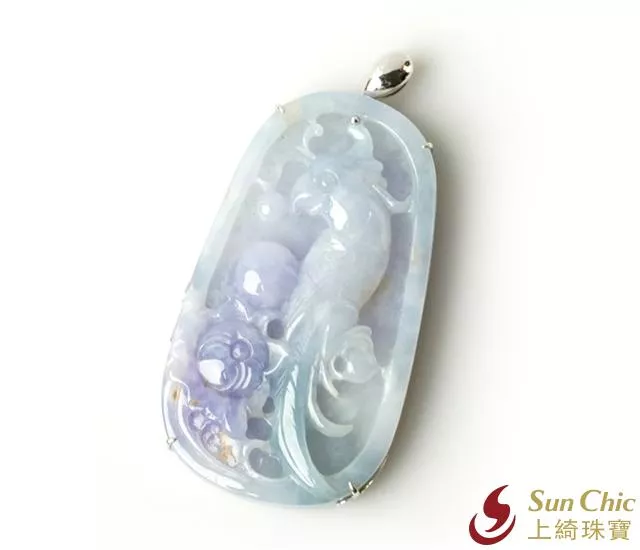 🦜英明神武🦜 #紫羅蘭 #鸚鵡