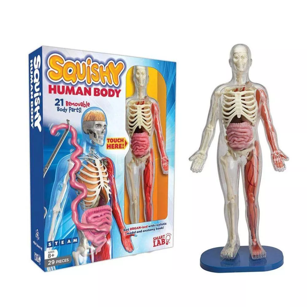 【美國SmartLab】超擬真人體模型遊戲組 Squishy Human Body