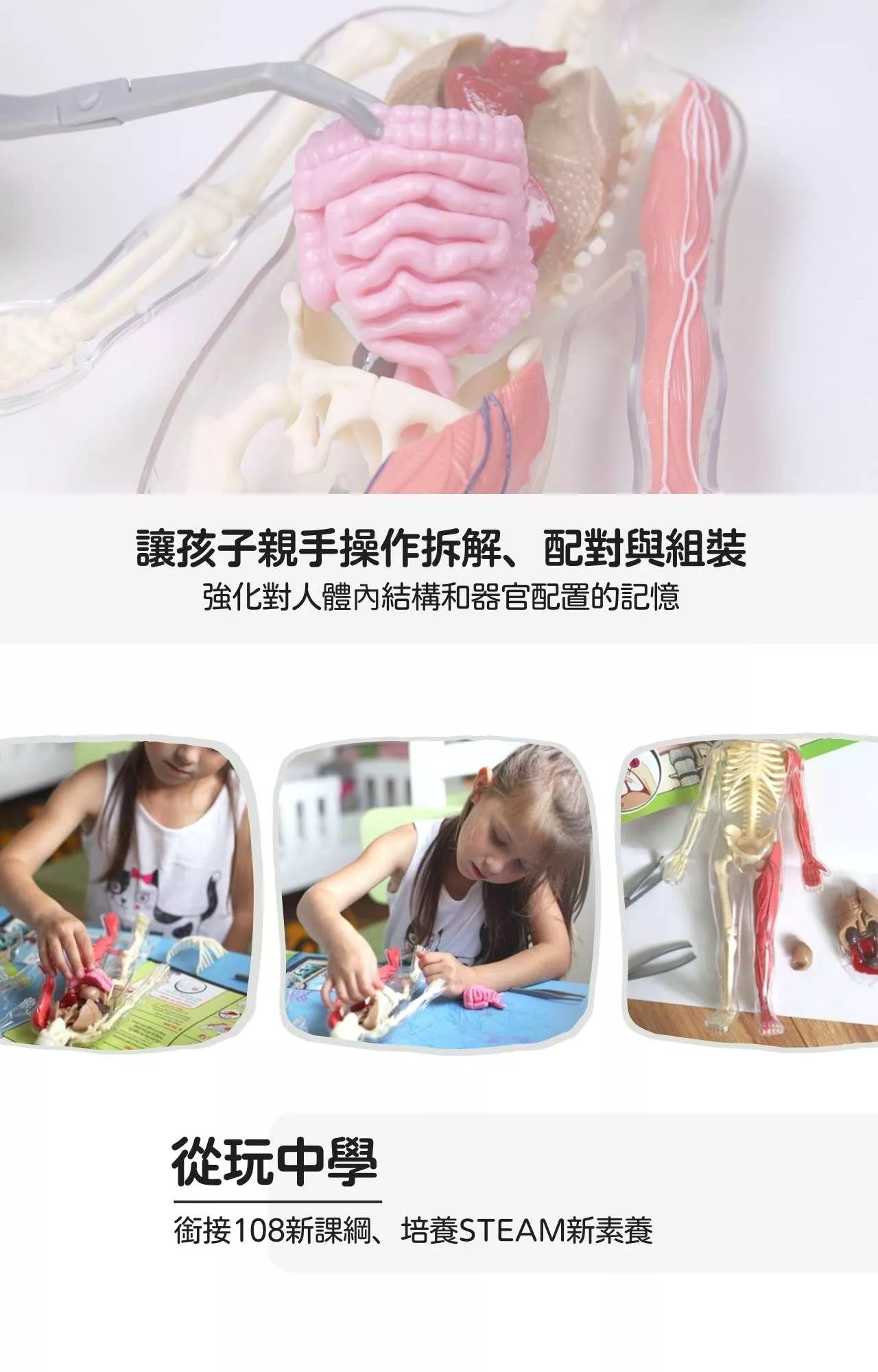 美國SmartLab 超擬真人體模型遊戲組_Squishy Human Body_產品說明 (3).jpg