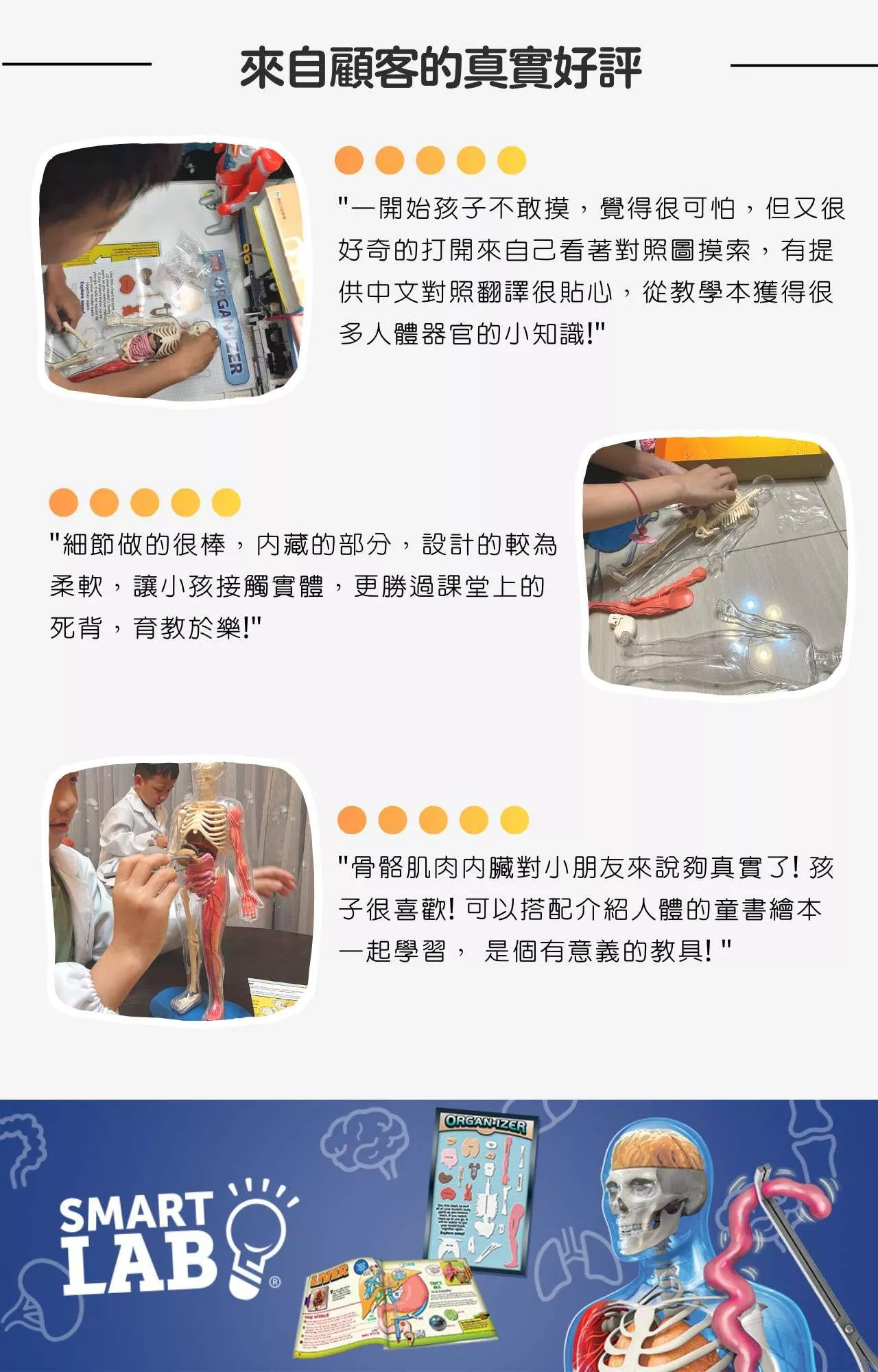 美國SmartLab 超擬真人體模型遊戲組_Squishy Human Body_產品說明 (6).jpg