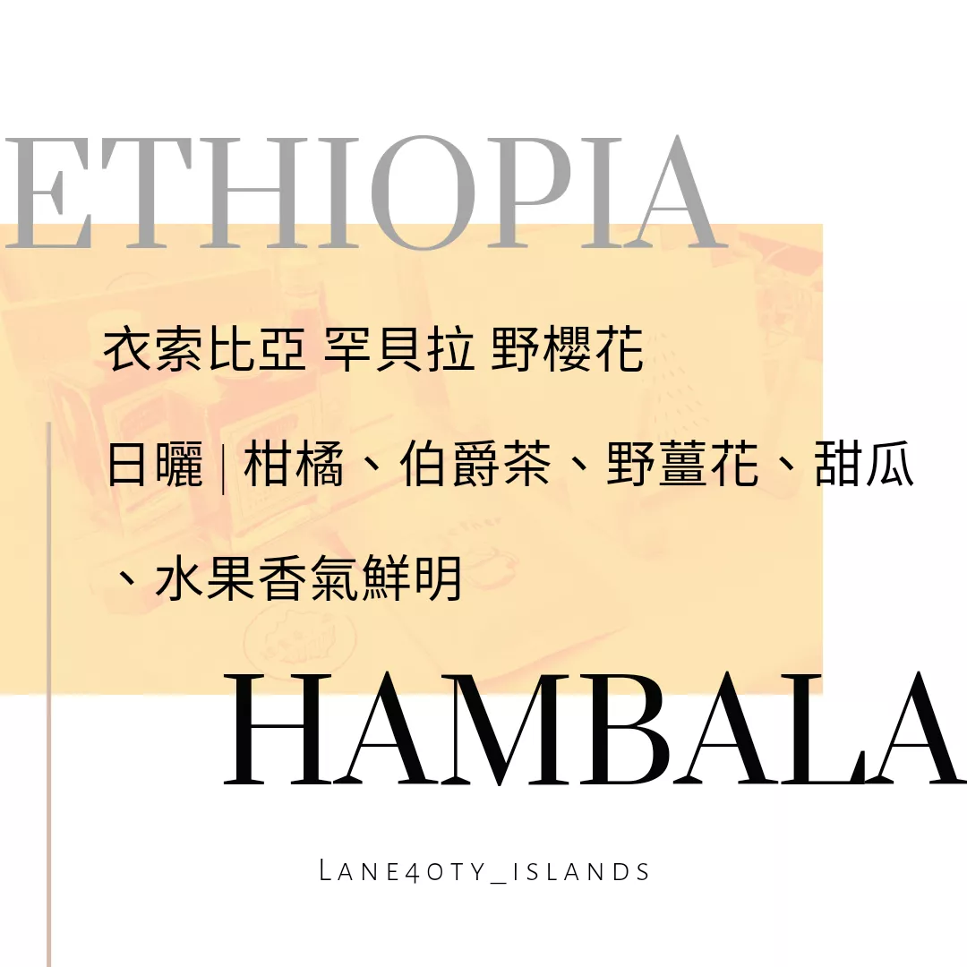 衣索比亞 野櫻花