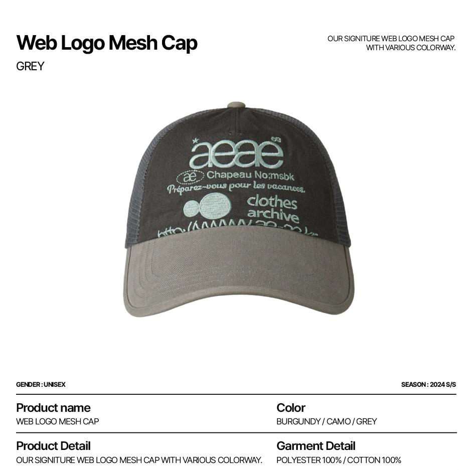 aeae WEB LOGO DAMAGED CAP