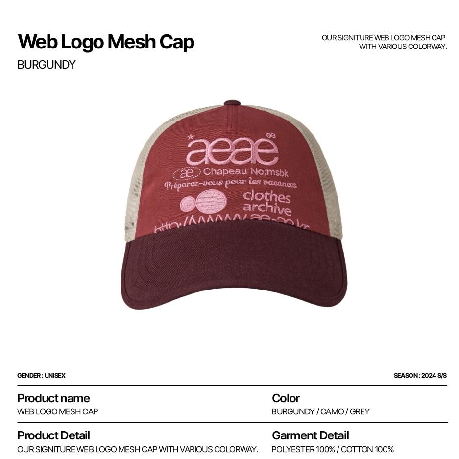 aeae WEB LOGO DAMAGED CAP