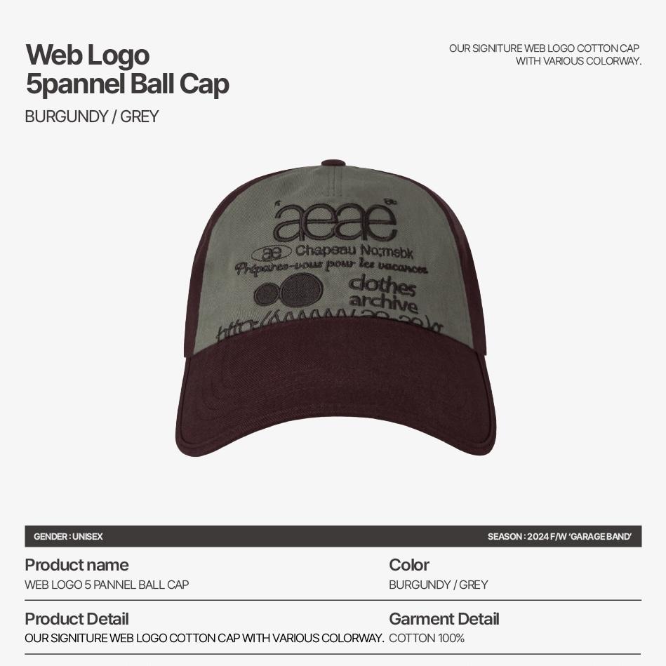 aeae WEB LOGO 5 PANNEL BALL CAP