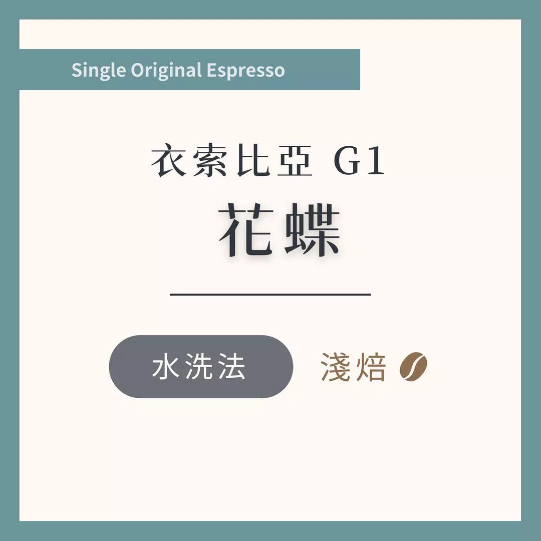 衣索比亞 G1 花蝶 水洗 淺焙