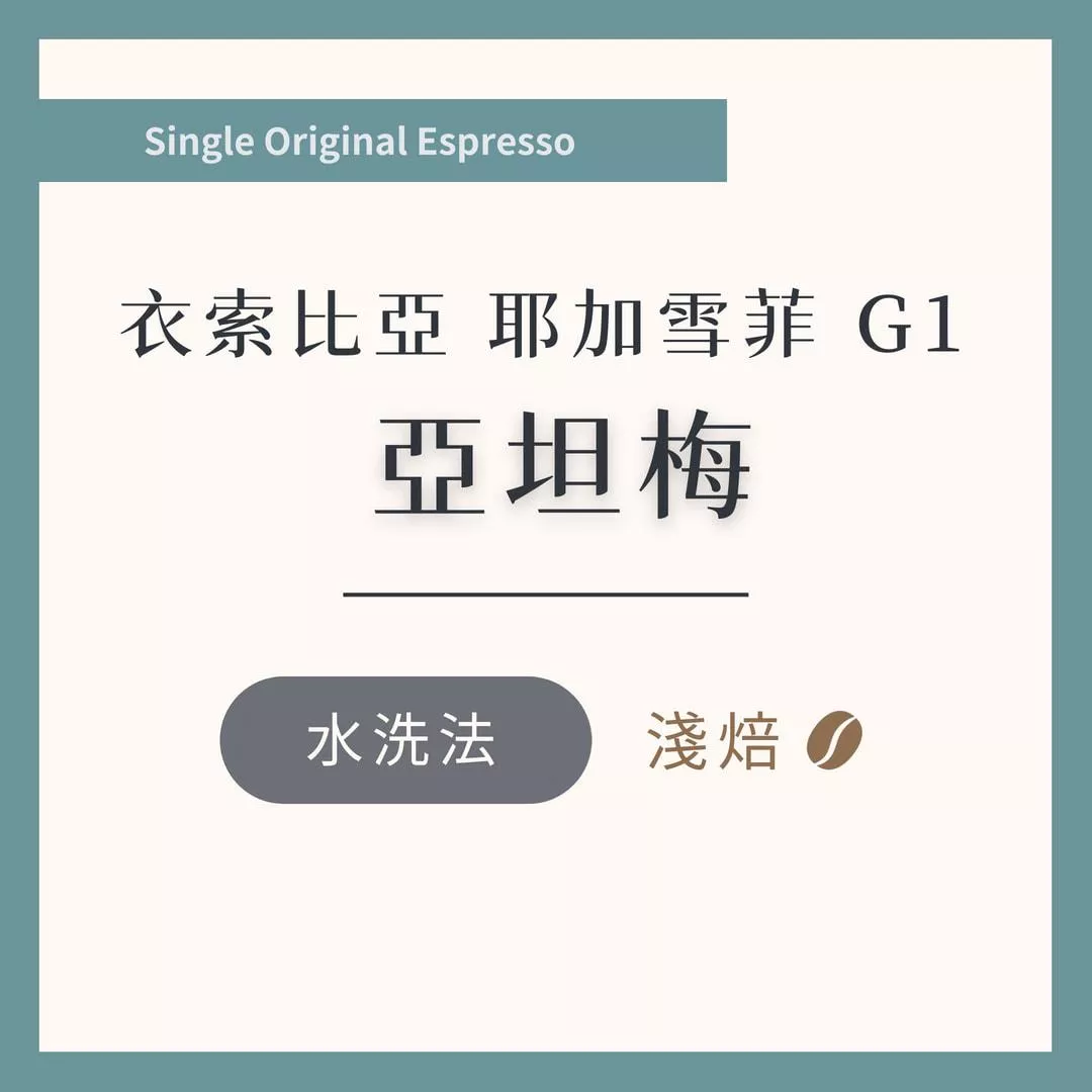 衣索比亞 G1 亞坦梅 水洗 淺焙