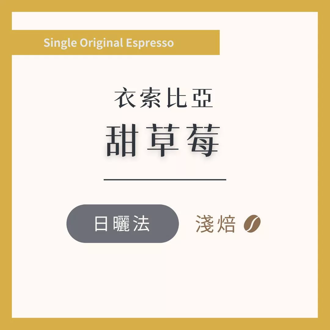 衣索比亞 畢洛雅 甜草莓 日曬 淺焙