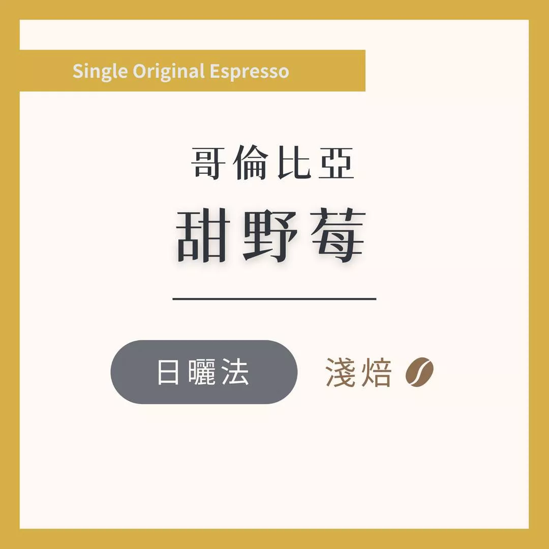 哥倫比亞 甜野莓 日曬 淺焙