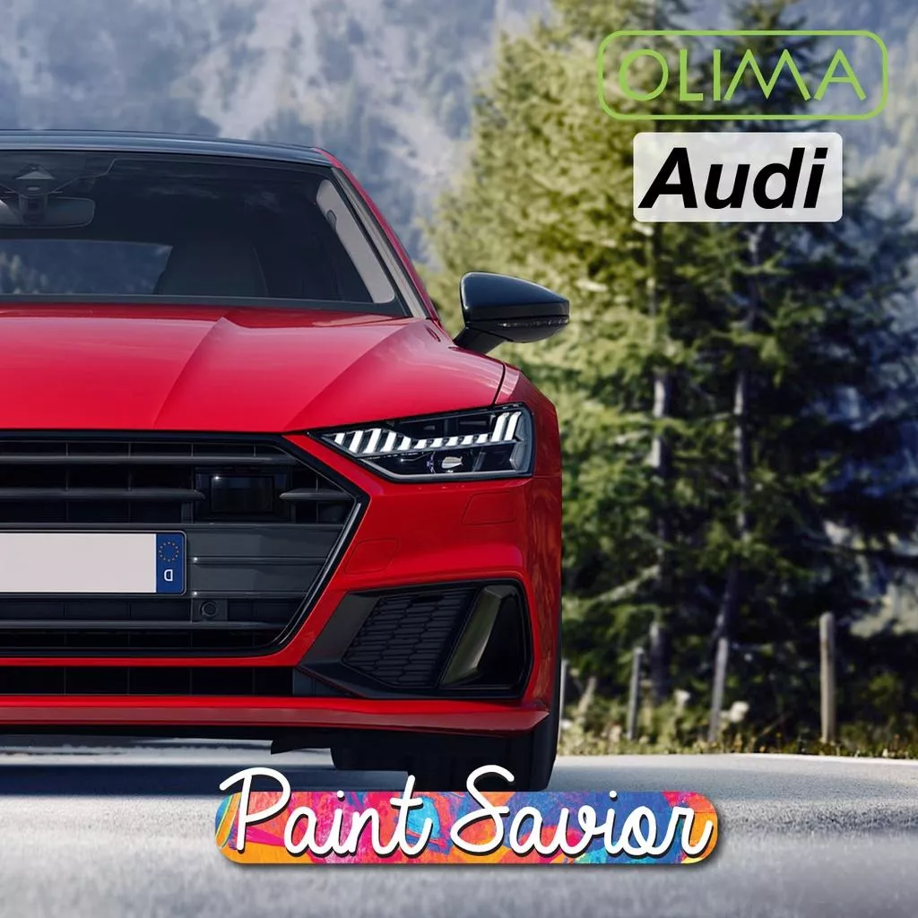 高雄門市 OLIMA 補漆筆 AUDI 奧迪 點漆筆 A1 A3 A5 A6 A7 A8 Q2 Q3 Q5 Q7 RS