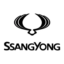 雙龍 SSANGYONG 晴雨窗 專用晴雨窗 (台灣製/抗UV)