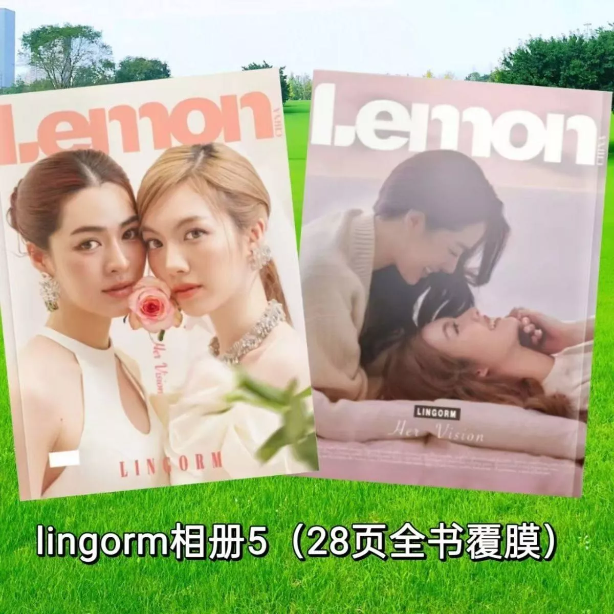 ❤️預購20天到貨 我們的秘密寫真 lingorm Lemon雙人畫冊寫真畫冊 寫TheSecretofUs lingorm