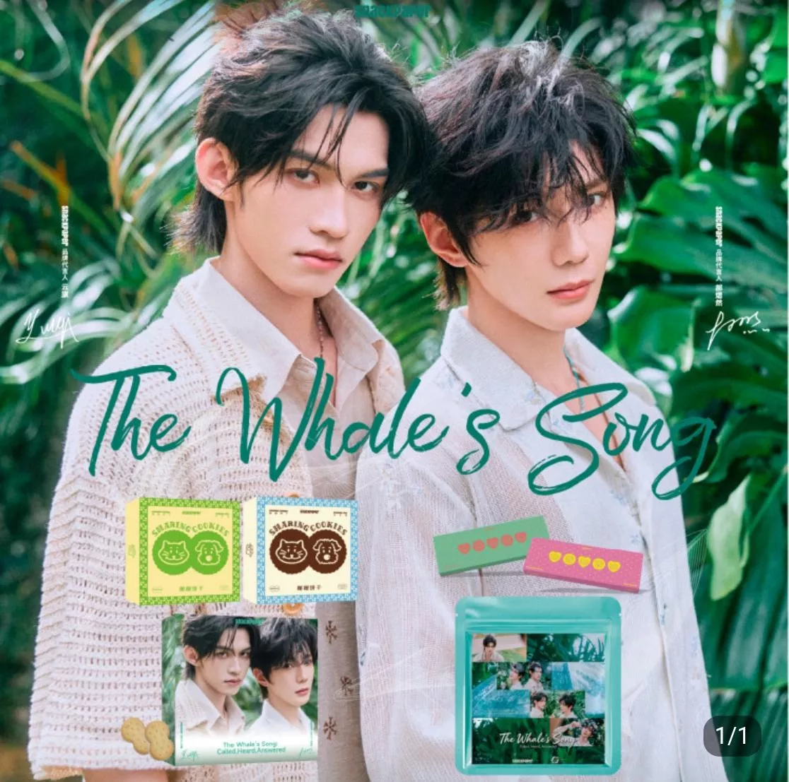 預購5月下到貨 【雲旗郝熠然代言心選】  Sharing Cookies掰餅乾限定禮盒------------樊霄雲旗郝熠然游書朗  四面佛