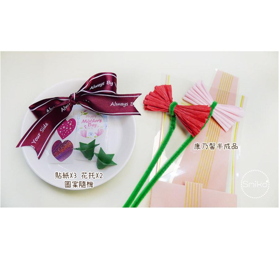【Smiko腸腸妞】45CM康乃馨母親節花束手作材料包 母親節/花束/禮物/兒童美勞/幼兒手作5N0501