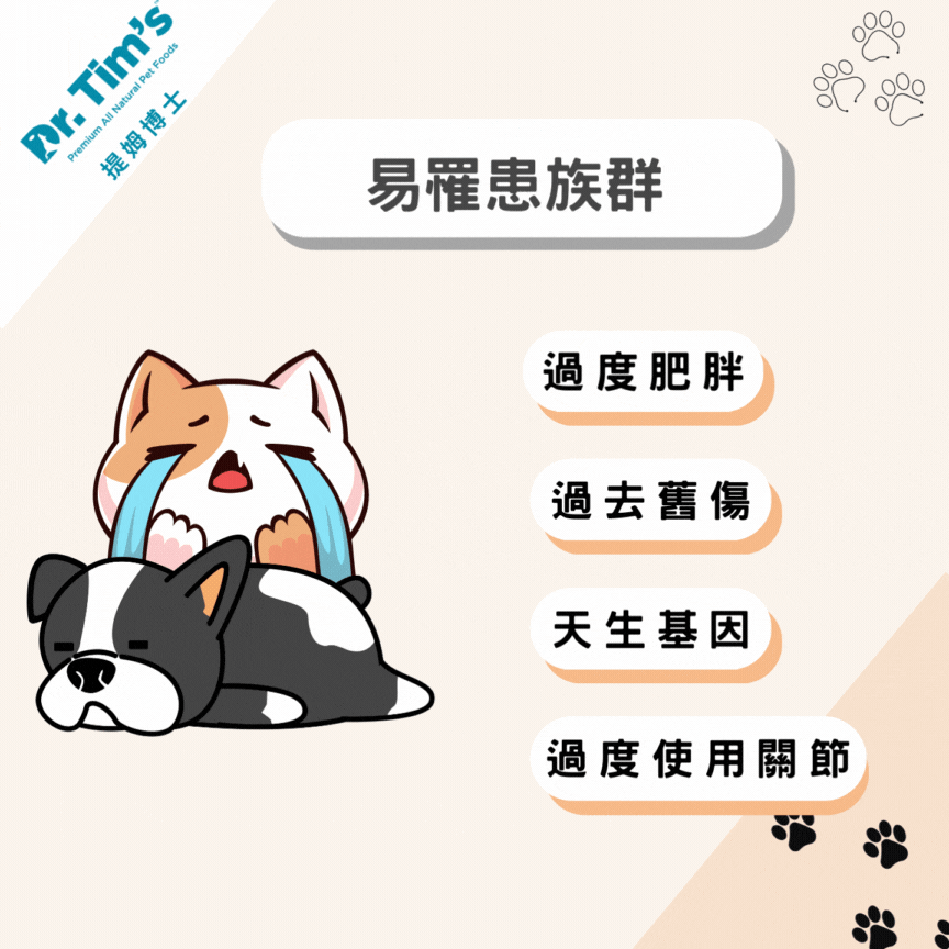 7446_64806283ca1e9.gif