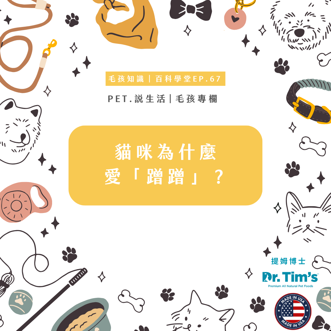 毛孩知識｜貓咪為什麼愛「蹭蹭」？