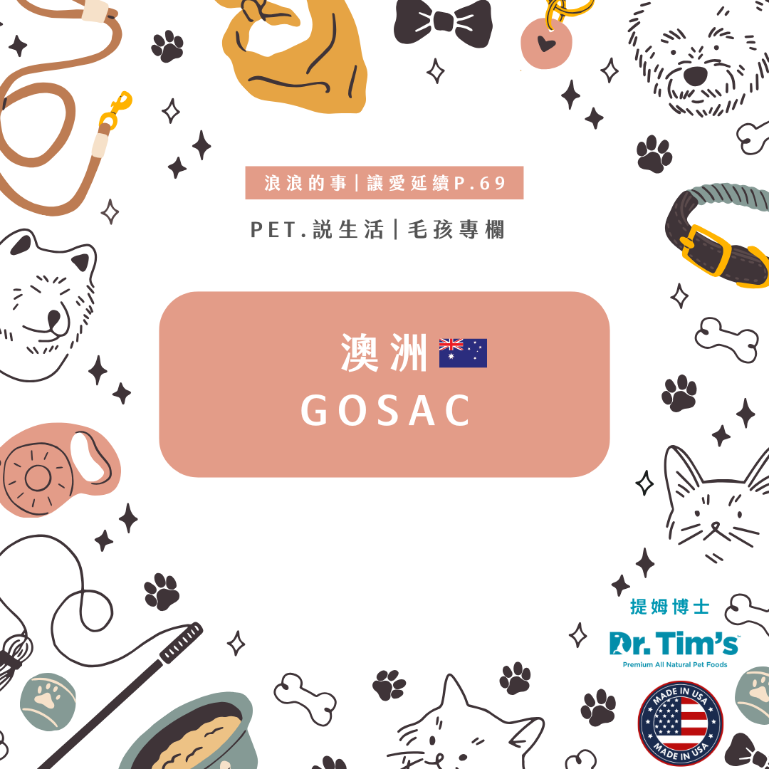 浪浪的事｜澳洲GOSAC