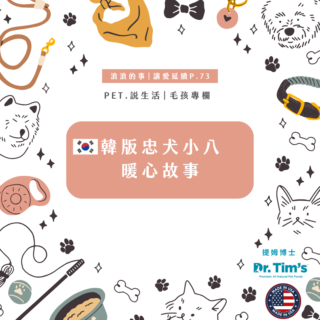 浪浪的事｜韓版忠犬小八暖心故事