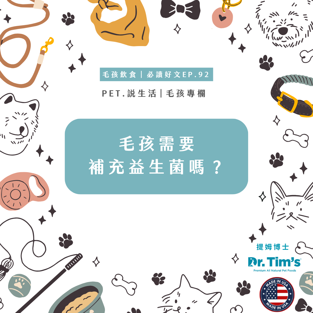 毛孩飲食｜毛孩需要補充益生菌嗎?