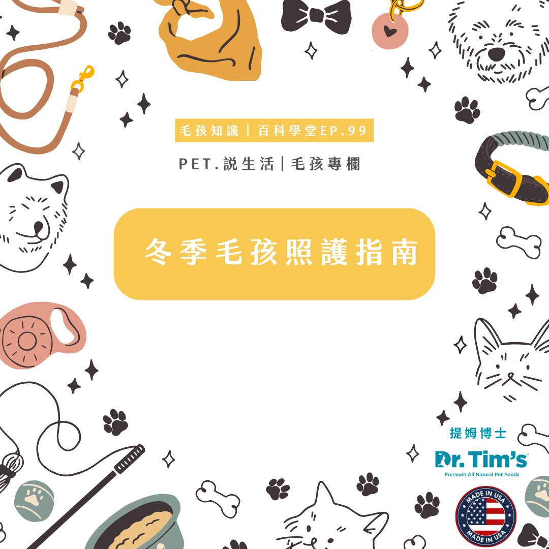 毛孩知識｜冬季毛孩照護指南