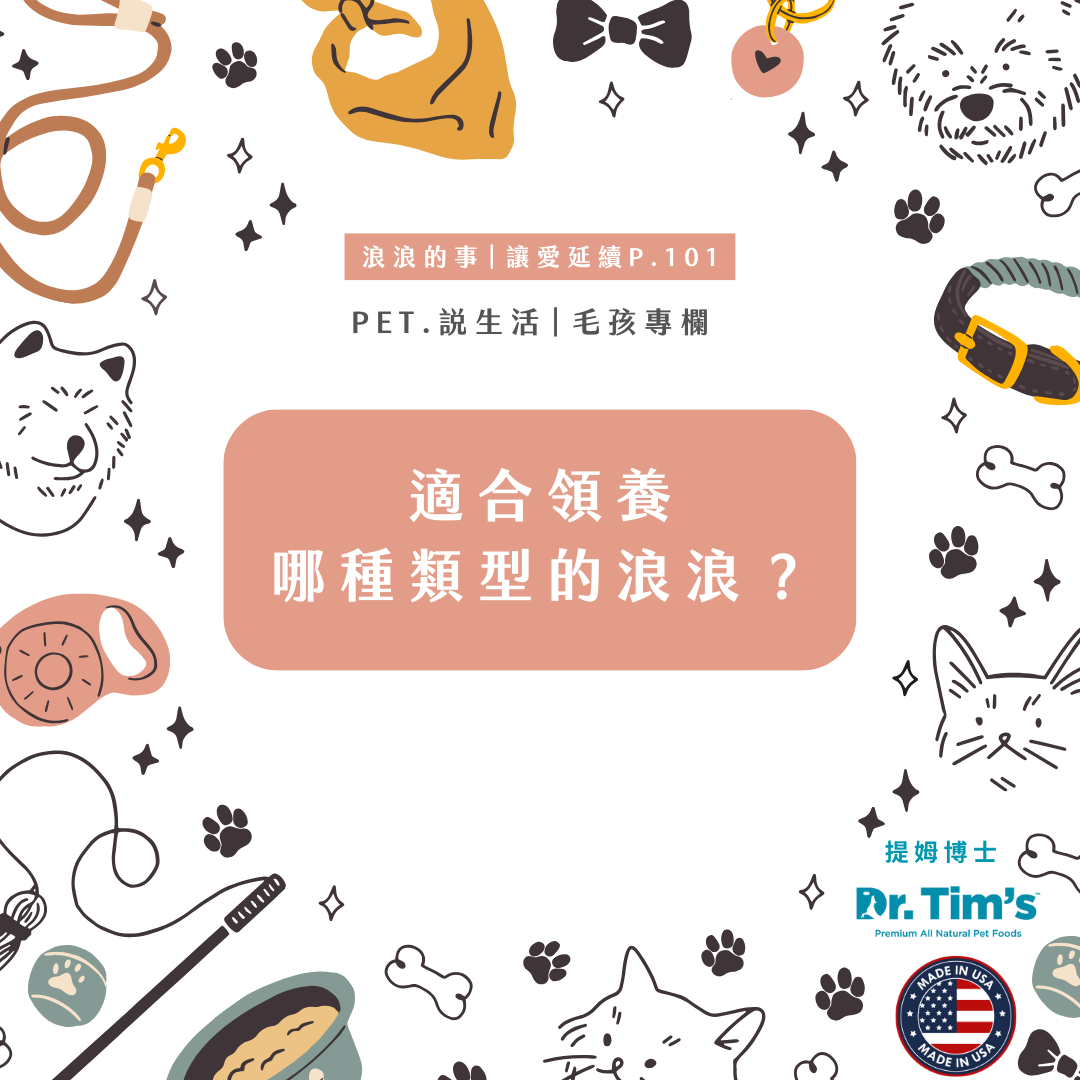 浪浪的事｜適合領養哪種類型的浪浪？