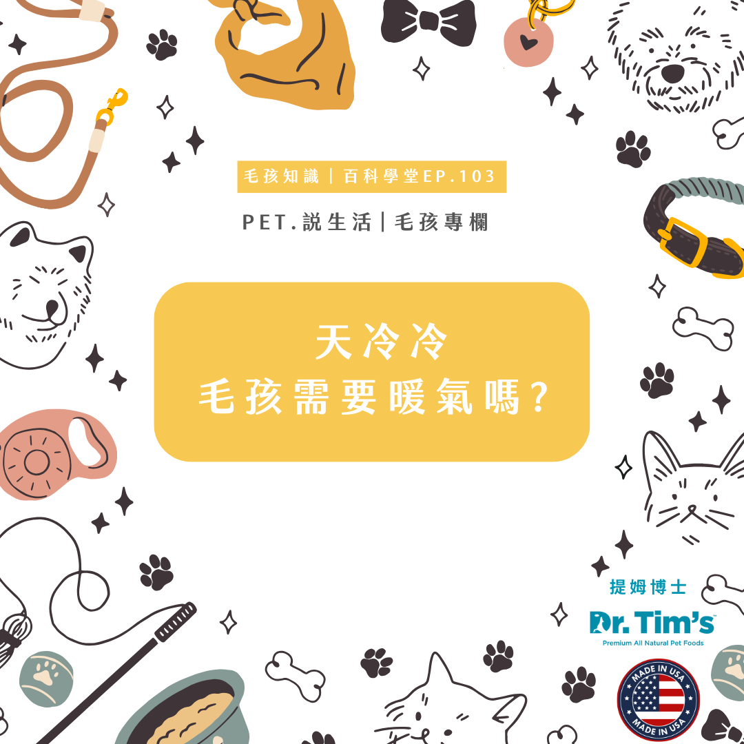 毛孩知識｜天冷冷毛孩需要暖氣嗎?