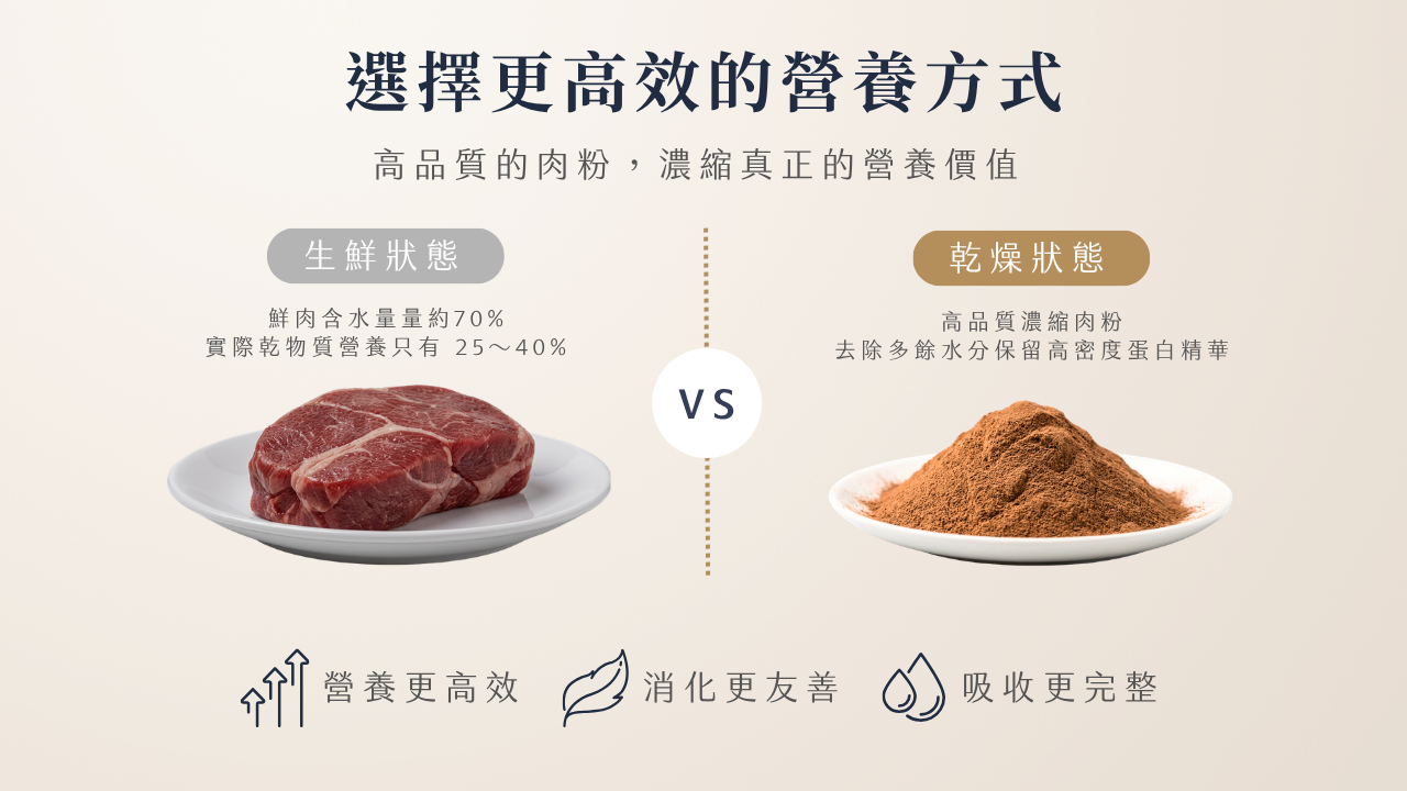 提姆博士_乾燥肉粉