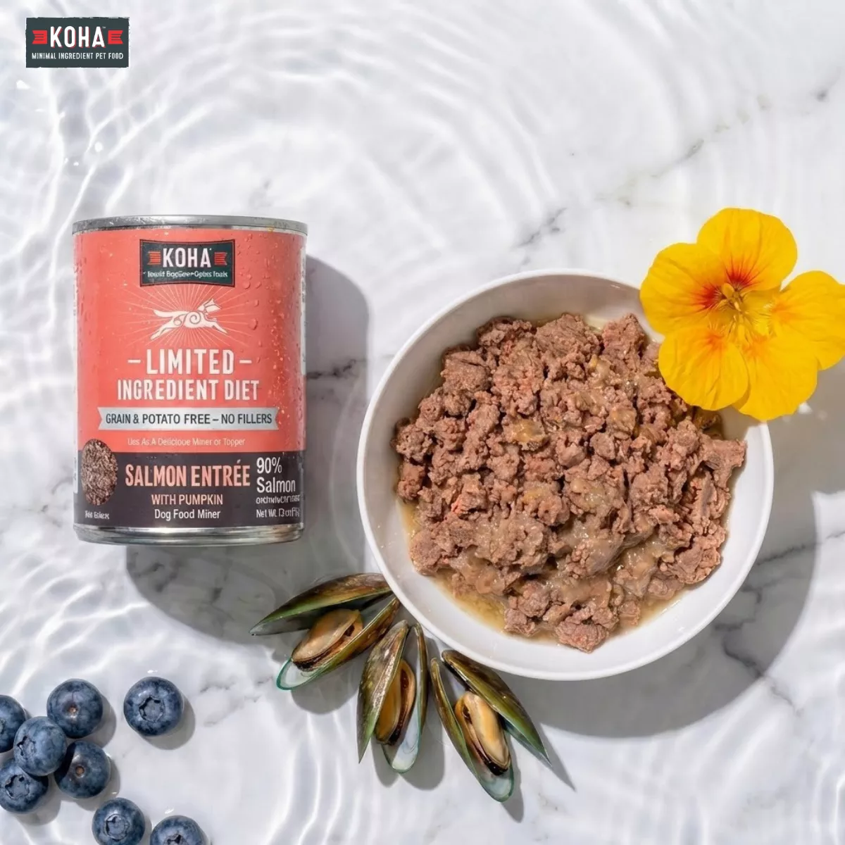 𝐾𝑂𝐻𝐴_𝟿𝟶 鮭魚無穀犬罐｜13oz