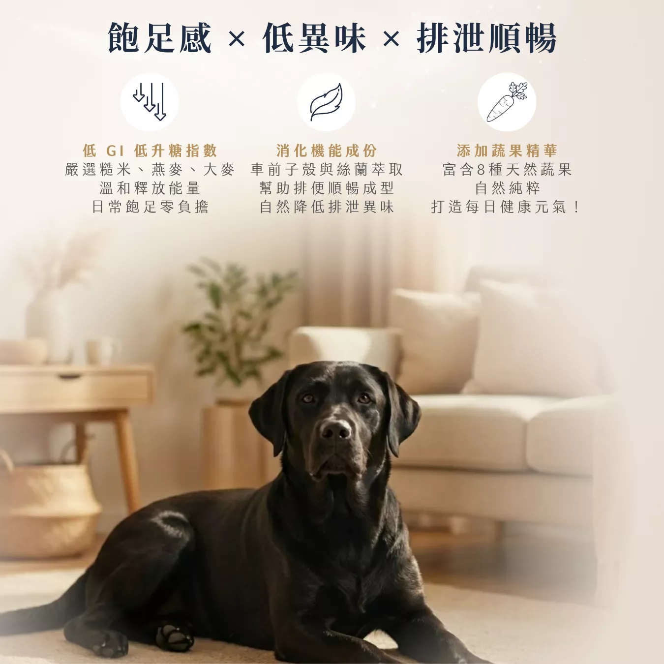 提姆博士_全方位-3.png