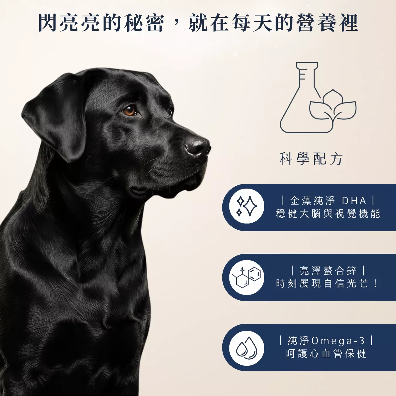 提姆博士_全方位-4.png